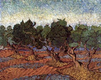 Vincent Van Gogh : Olive Orchard IV